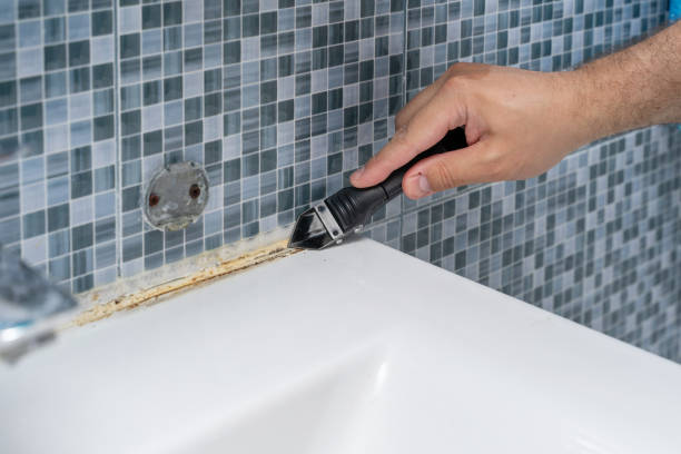 Best Professional Mold Removal  in Chittenango, NY
